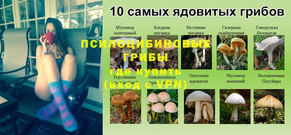 мескалин Богородск