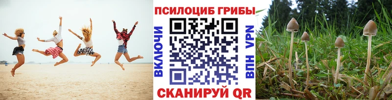 Псилоцибиновые грибы MAGIC MUSHROOMS Дегтярск